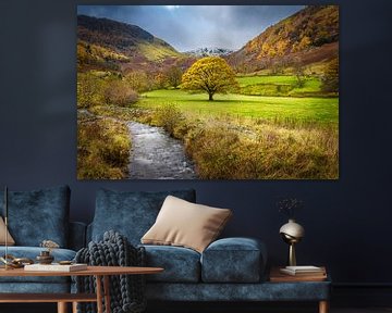 Herbst im Lake District, Großbritannien von Rietje Bulthuis
