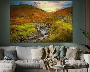 Fast-flowing brook in the Lake district, Great Britain. by Rietje Bulthuis