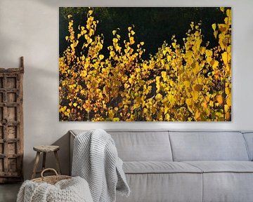 Noir et jaune sur Justine Vanderwee