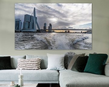Rotterdam, Erasmusbrug vanaf de watertaxi van Ingrid Aanen