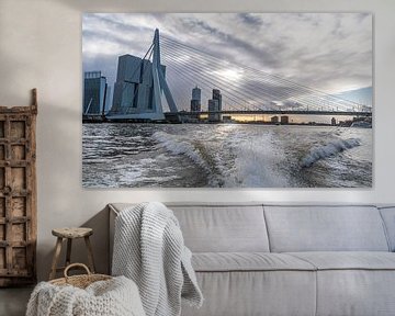 Rotterdam, Erasmus bridge from the water taxi