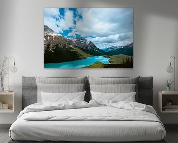 Peyto See, Banff von Annika Koole