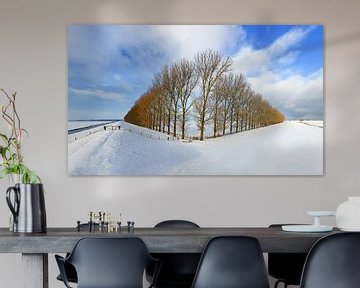 Compositie met bomen, Groningen, Nederland van Henk Meijer Photography