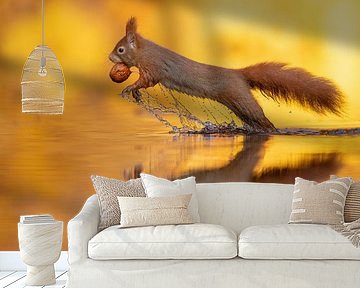 Jumping Squirrel by Dick van Duijn