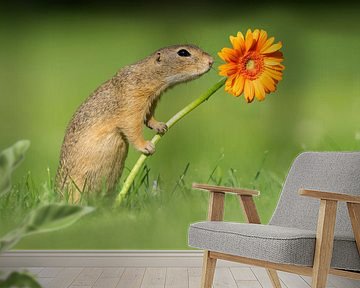 Erdhörnchen mit Blume von Dick van Duijn