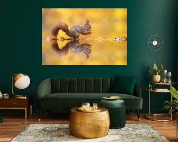 Herbst Eichhörnchen von Dick van Duijn