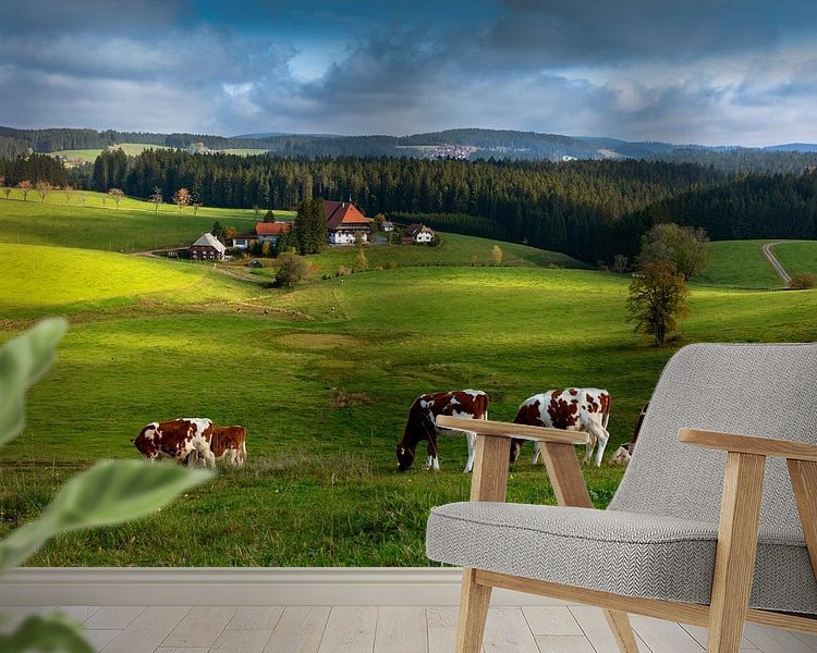 Raumvorschau