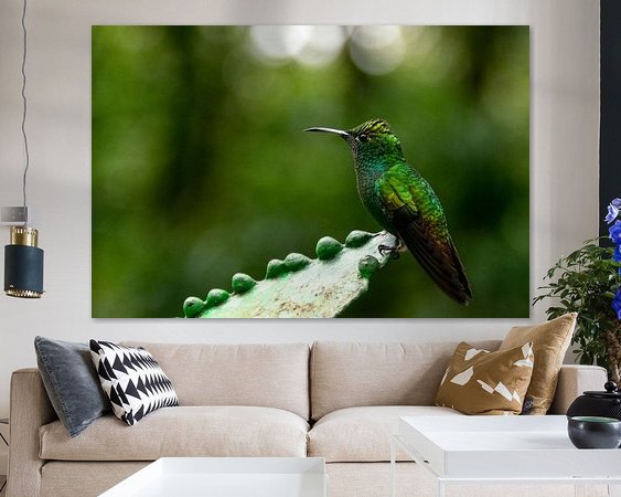 Aperçu de la chambre