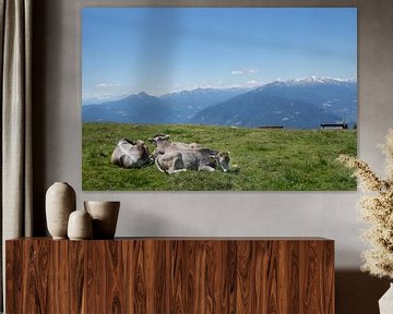 Koeien op de Alm in de Dolomieten van Martina Weidner