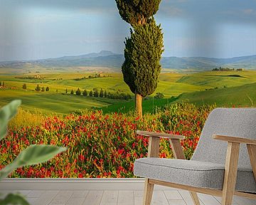 Val d'Orcia, Tuscany, Italy by Henk Meijer Photography