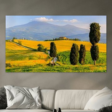 Abendlicht im Val d'Orcia, Toskana, Italien von Henk Meijer Photography