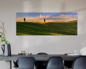 Cypress trees in the Crete Senesi in the Tuscany by Henk Meijer Photography