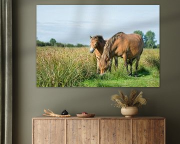 Exmoor pony met veulen van Maria-Maaike Dijkstra