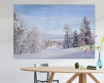 Schnee im finnischen Lappland von Maria-Maaike Dijkstra
