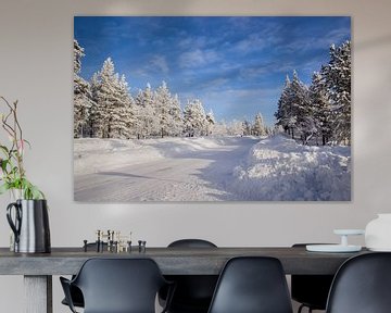 Snow in Finnish Lapland by Maria-Maaike Dijkstra