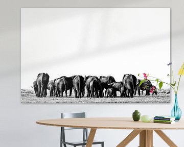 Elephants in Etosha Park Namibia, Africa by Tjeerd Kruse