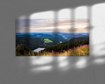 Blick vom Feldberg im Schwarzwald von Werner Dieterich