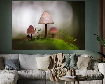 Mushrooms in the fairytale forest by Isabel van Veen