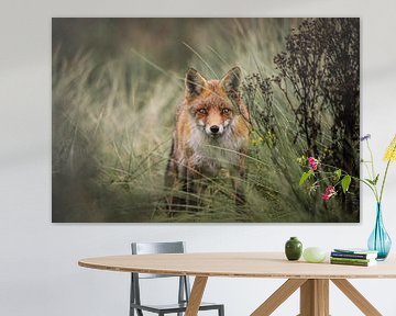 Fox by Isabel van Veen