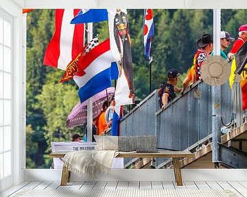 Max flags during the Grand Prix of Austria 2017 by Justin Suijk