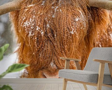 Schotse Hooglander in de sneeuw van Sjoerd van der Wal Fotografie