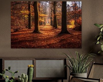 Avenue with trees in the Sterrenbos in Gorssel in autumn colours. by Bart Ros