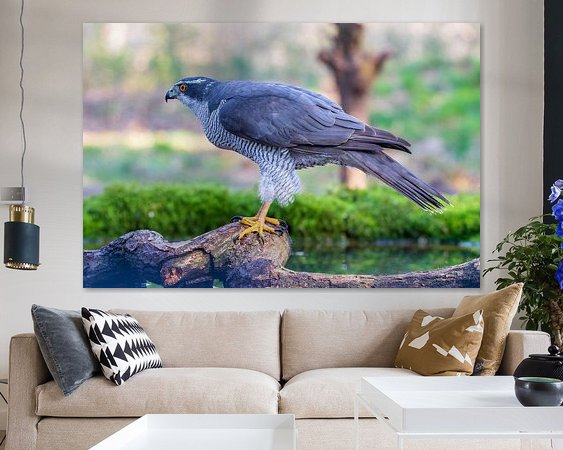 Aperçu de la chambre