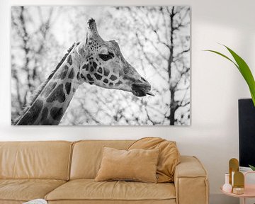 Cheeky Giraffe in black and white by Evelien Oerlemans