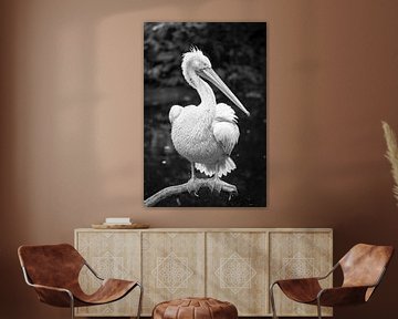 Pelikan in schwarz-weiß von Evelien Oerlemans