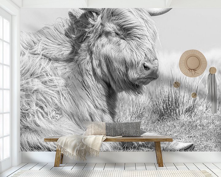 Sfeerimpressie behang: Schotse hooglander van Teuni's Dreams of Reality