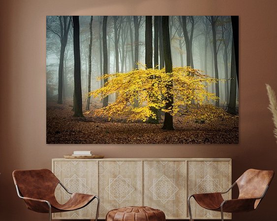 Voorbeeld van het werk in een kamer