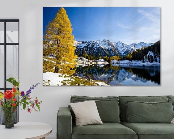 Aperçu de la chambre