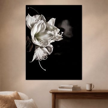 Michael Detter-Fleurs1