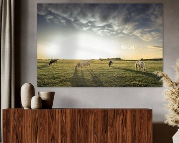 Koeien in het veld van Jessie Van Kerckhove