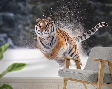 Siberian Tiger in the Snow by Dick van Duijn