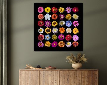 Collage sierbloemen van Anne Stielstra