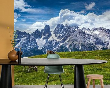 Dolomites - Monte Cristallo by Reiner Würz / RWFotoArt