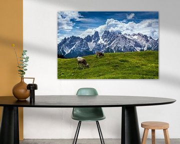 Dolomiten - Monte Cristallo von Reiner Würz / RWFotoArt