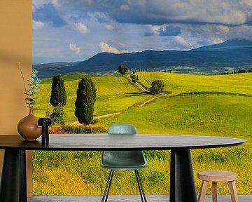Panorama Agriturismo Terrapille, Val d'Orcia, Toscane, Italie van Henk Meijer Photography