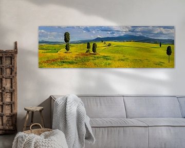 Panorama Agriturismo Terrapille, Val d'Orcia, Toscane, Italie van Henk Meijer Photography
