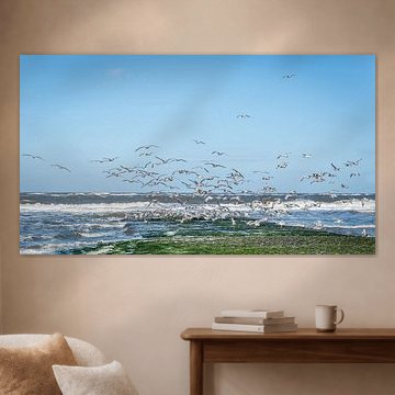 Gulls by Adri Rovers