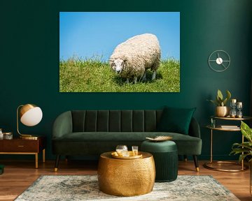 Sheep by Adri Rovers
