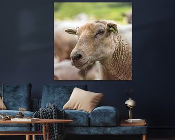 Sheep's head by Adri Rovers