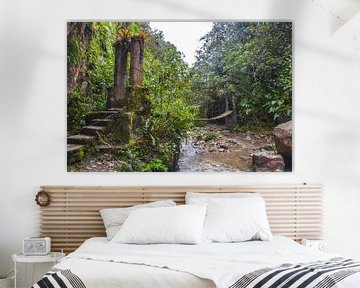 Jungle in Colombia van Tim van Breukelen