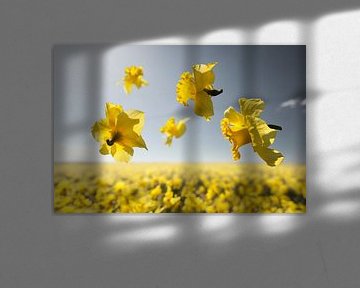Blumenkraft - Niederländischer Meister von Claire Droppert