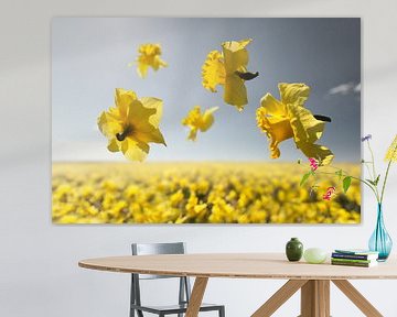Blumenkraft - Niederländischer Meister von Claire Droppert