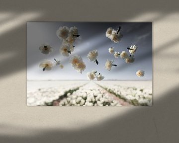 Blumenkraft - Fröhlichkeit von Claire Droppert