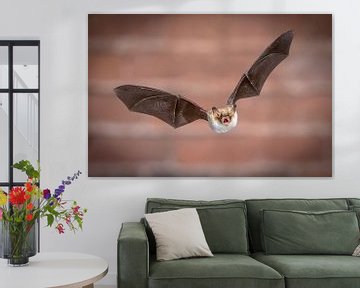 Vliegende Franjestaart vleermuis van Rudmer Zwerver
