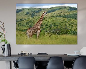 Giraffe in groen landschap van Dustin Musch