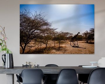 Giraffe in Senegal Afrika van Babet Trommelen